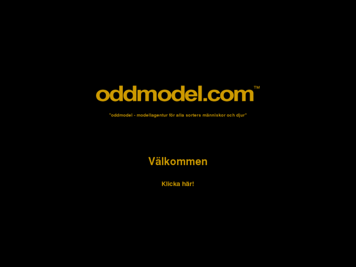 www.oddmodel.com