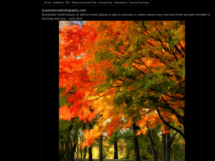 www.susanstonerphotography.com
