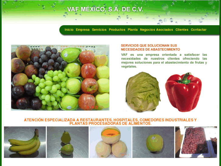 www.vafmexico.com