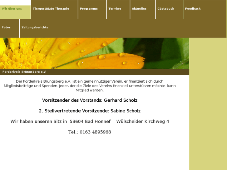 www.xn--frderkreis-brngsberg-39b8l.com