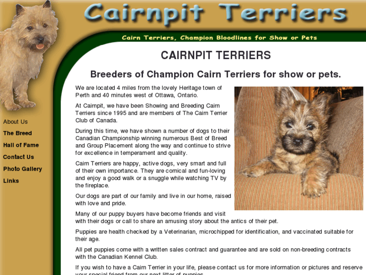 www.cairnpit-terriers.com