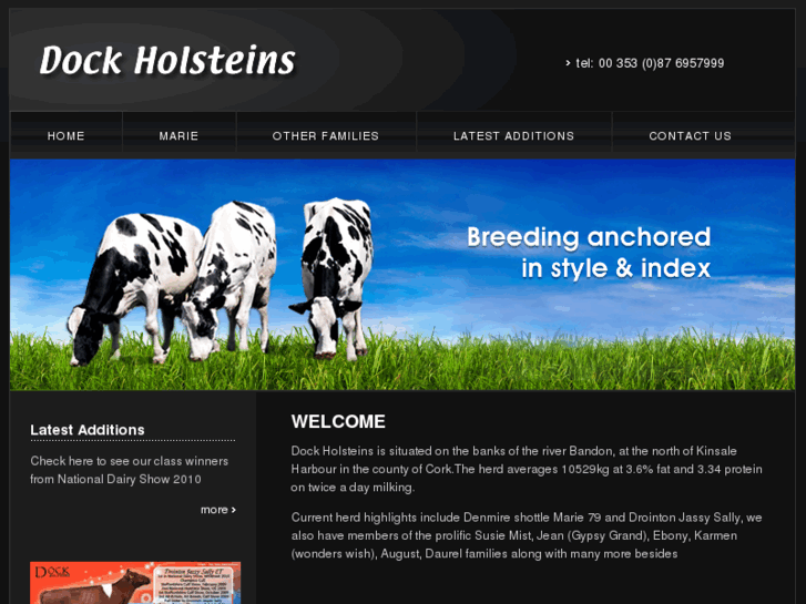 www.dockholsteins.com