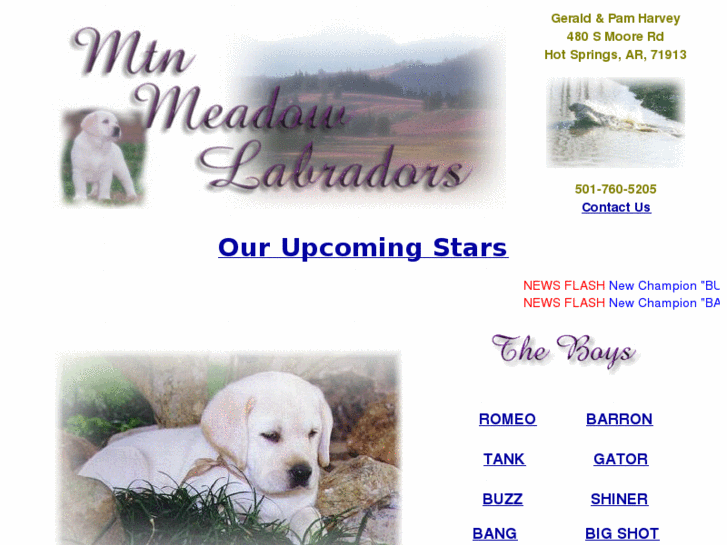 www.mtnmeadow1.com