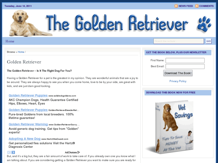 www.the-golden-retriever.com