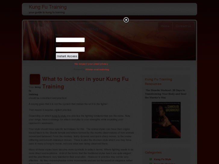 www.kungfu-training.net