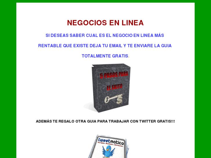 www.negociosenlinea.org