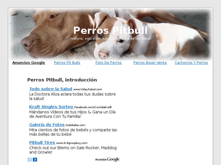 www.perrospitbull.net