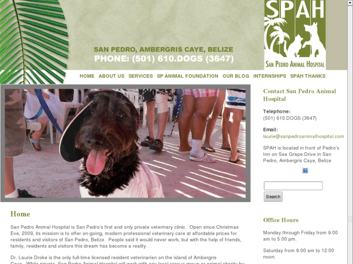 www.sanpedroanimalhospital.com