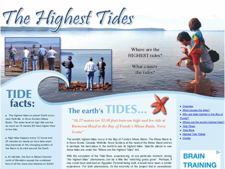 www.thehighesttides.com