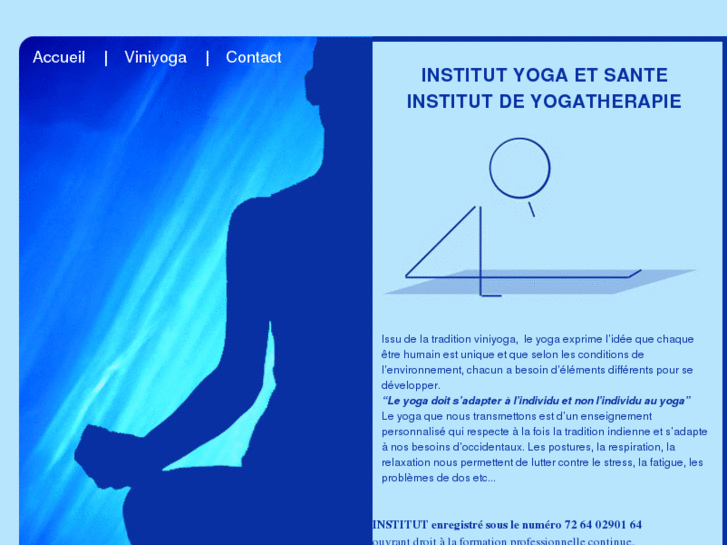 www.yogaetsante-institut.com