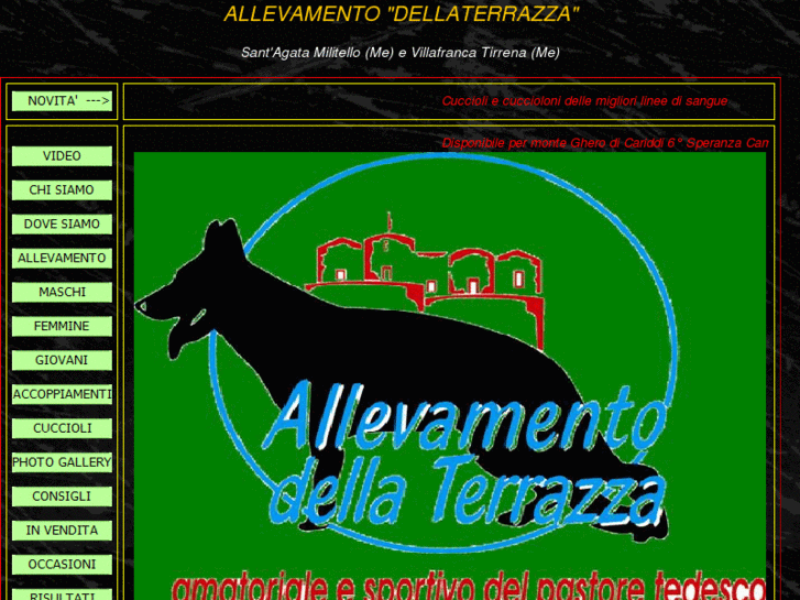 www.allevamentodellaterrazza.com