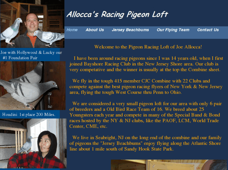 www.alloccaracingpigeons.com
