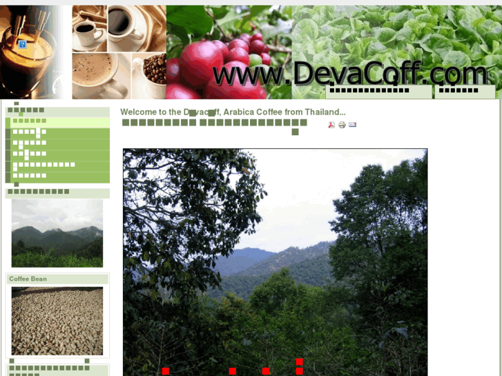 www.devacoff.com