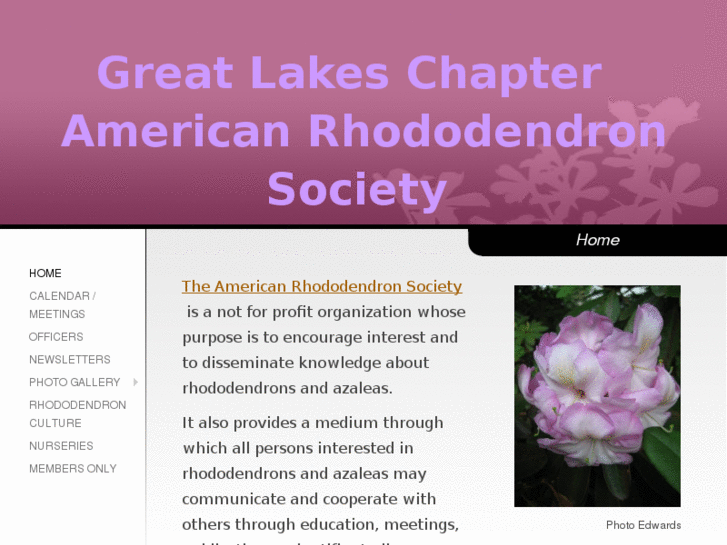 www.greatlakesrhodies.org