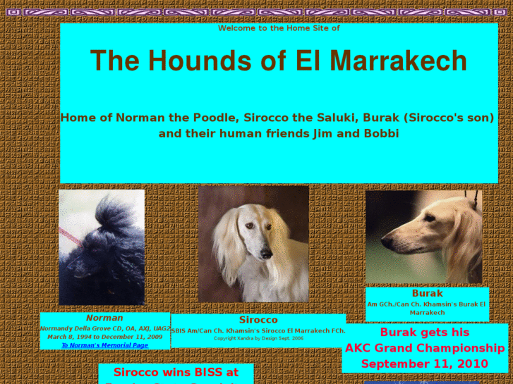 www.houndsofmarrakech.com