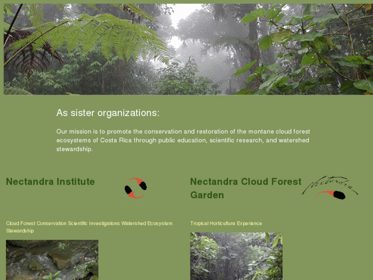 www.nectandra.org