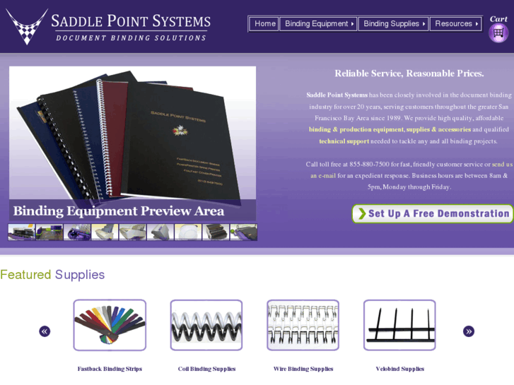 www.saddlepointsystems.com