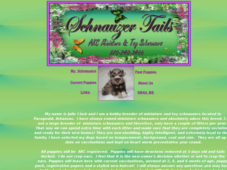 www.schnauzertails.com