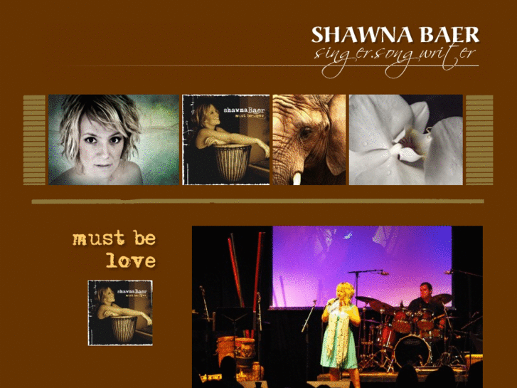 www.shawnabaer.com