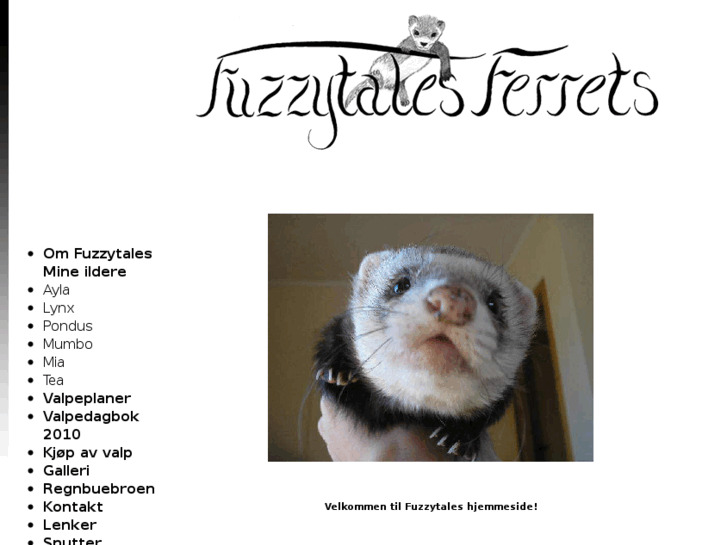 www.fuzzytalesferrets.com