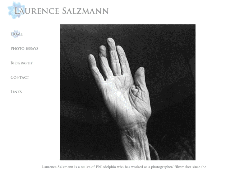 www.laurencesalzmann.com