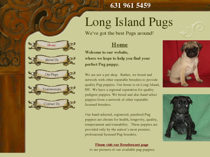 www.longislandpugs.com