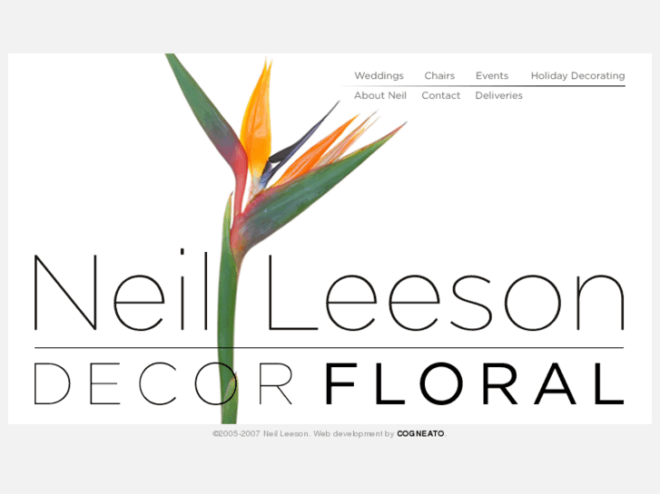 www.neilleeson.com