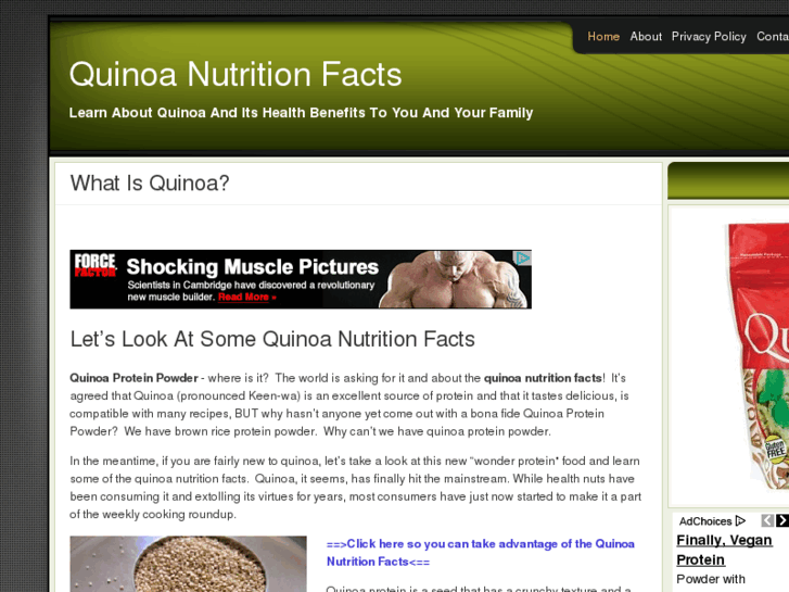 www.quinoaproteinpowder.com