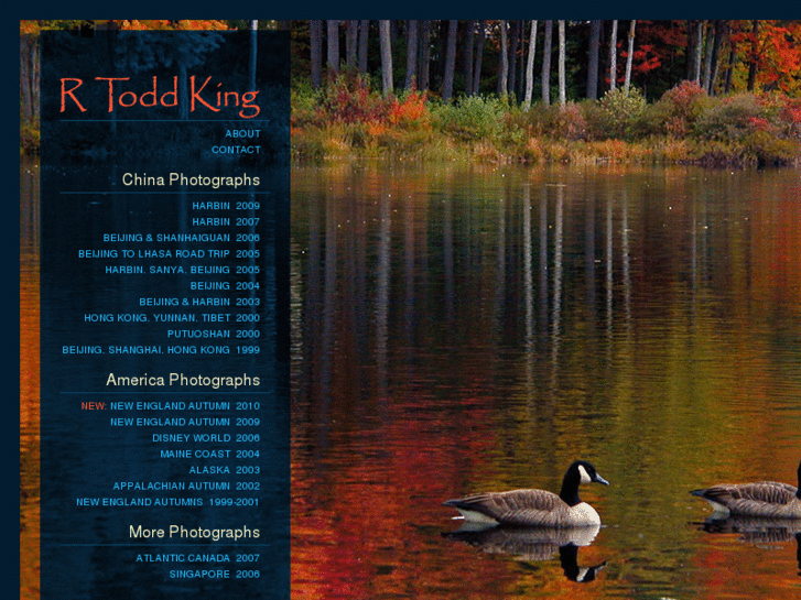 www.rtoddking.com