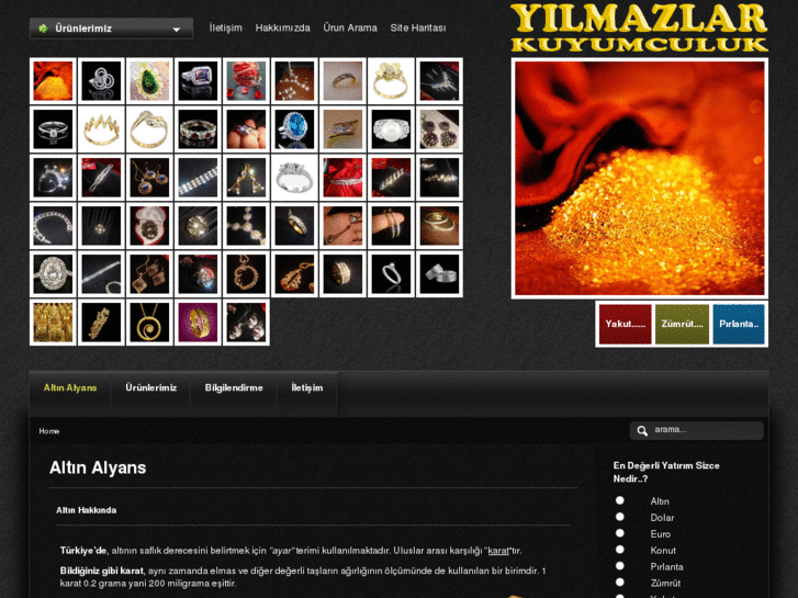 www.altinalyans.net