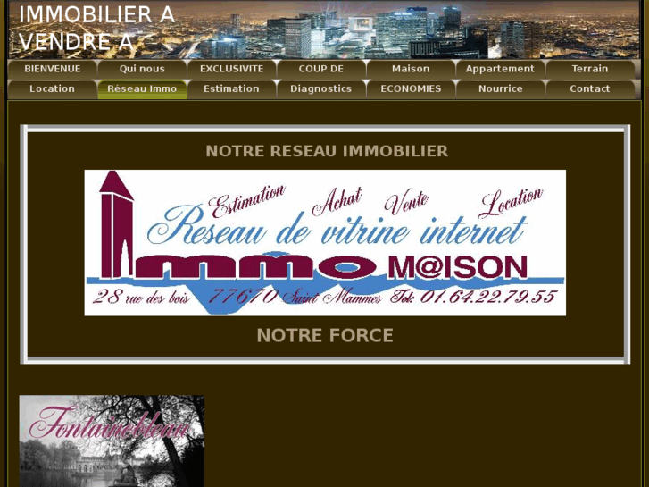 www.champagnesuerseine-immobilier.com