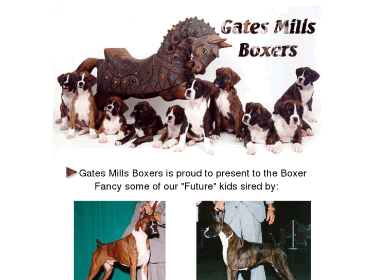 www.gatesmillsboxers.com