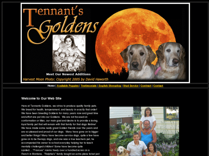 www.tennantsgoldens.com