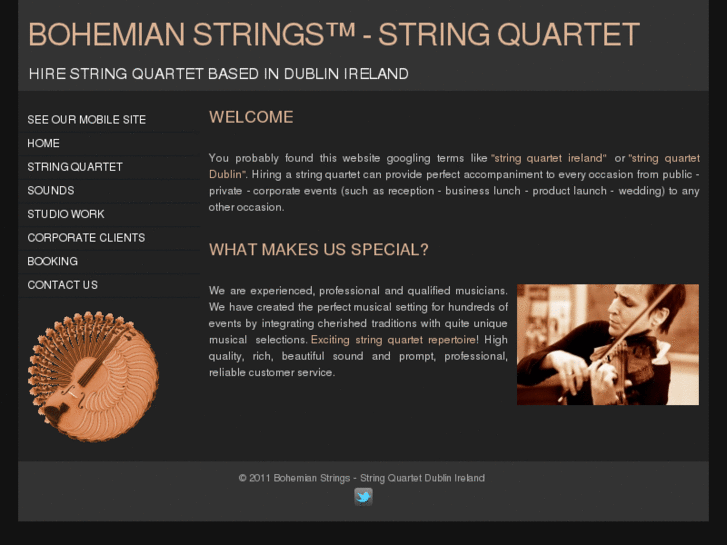 www.bohemianstrings.com