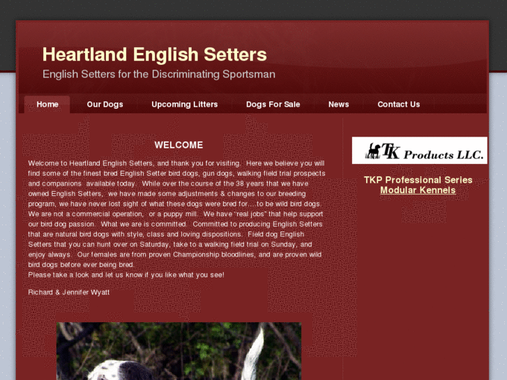 www.heartlandenglishsetters.com