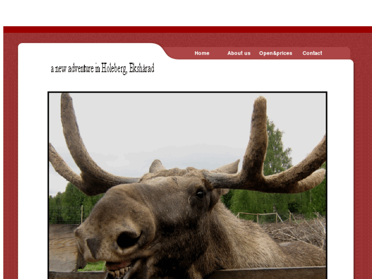 www.moose-world.com