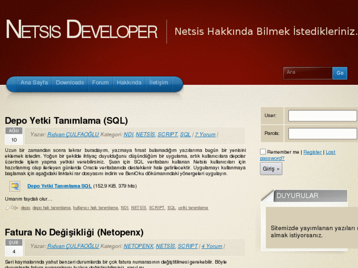 www.netsisdeveloper.com