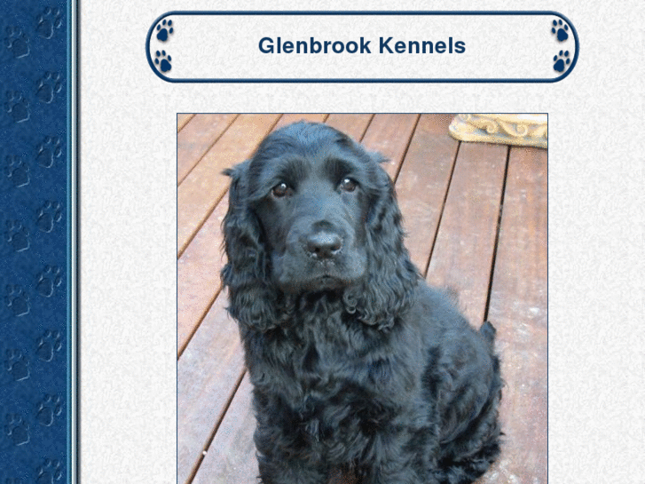 www.glenbrook-kennels.com