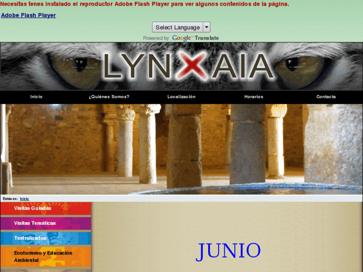 www.lynxaia.com