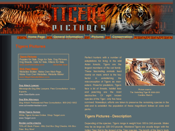 www.tigers-pictures.com