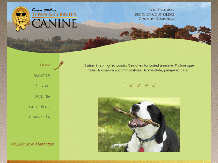 www.townandcountrycanine.com