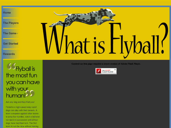 www.whatisflyball.com