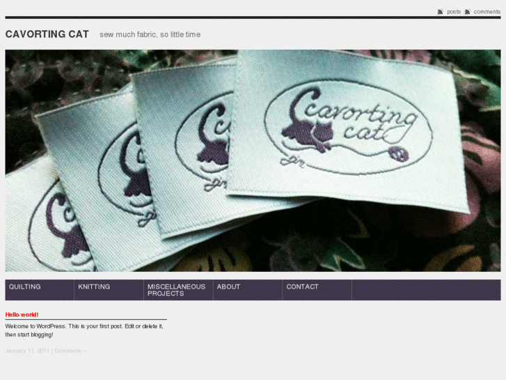 www.cavortingcat.com