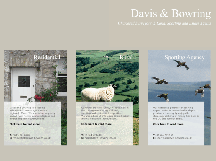 www.davis-bowring.co.uk