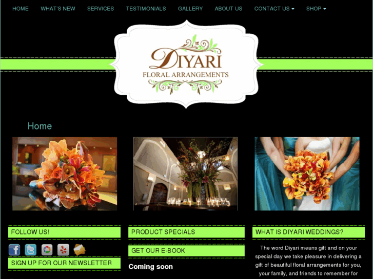 www.diyariwedding.com