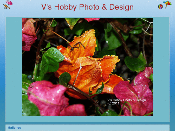 www.vshobbyphotodesign.com