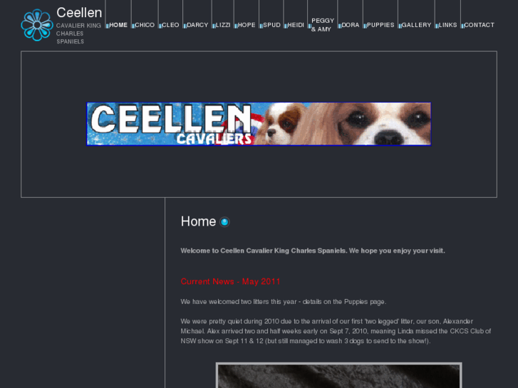 www.ceellen.com