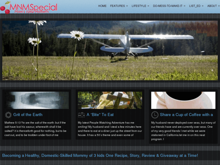www.mnmspecial.com