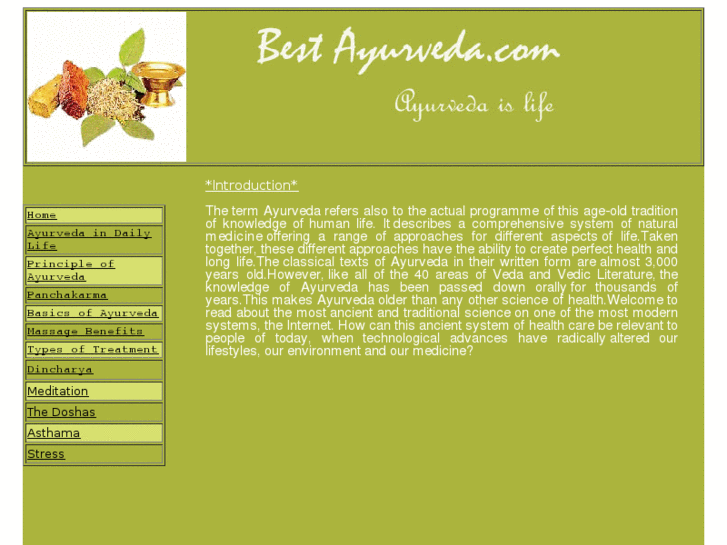 www.bestayurveda.com