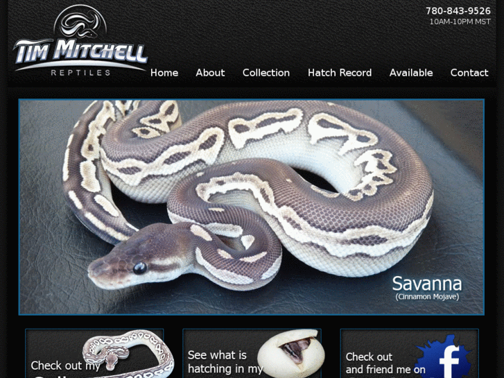 www.mitchellreptiles.com